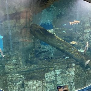 7/24/2021 - Lake Michigan Tank Panorama