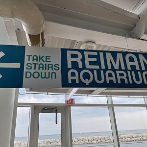 7/24/2021 - This Way to the Aquarium!