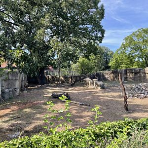 8/14/2021 - Pere David’s Deer Exhibit