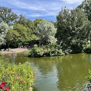 8/14/2021 - Swan Pond