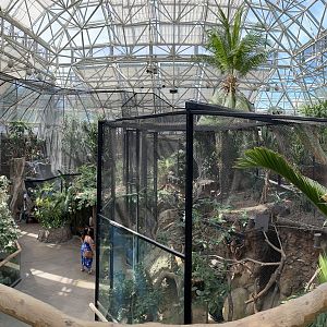 8/14/2021 - Small Mammal & Reptile House Panorama