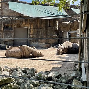 8/14/2021 - Mid-Day Snooze