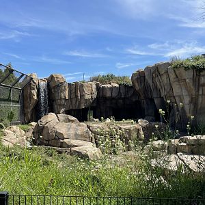 8/14/2021 - Arctic Tundra