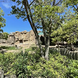 8/14/2021 - Black Rhino Habitat