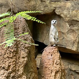 8/14/2021 - Sentry Duty