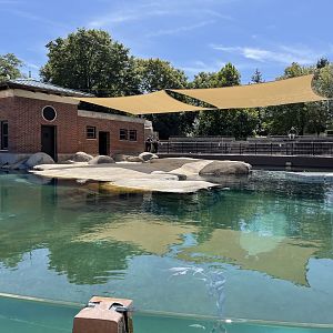 8/14/2021 - Kovler Seal Pool