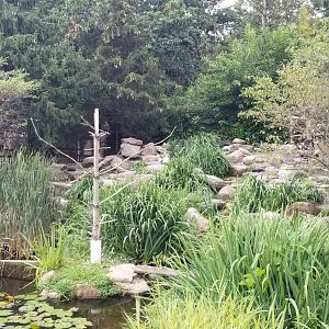 Elmwood Park - Eagles exhibit