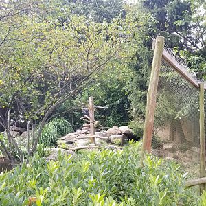 Elmwood Park - Eagles exhibit