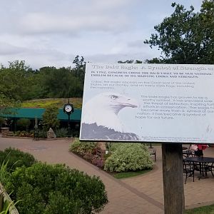 Elmwood Park - Eagle sign