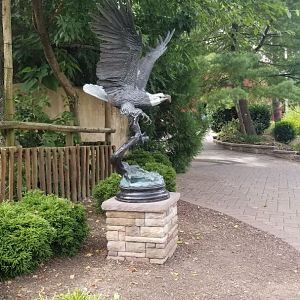 Elmwood Park - Eagle statue