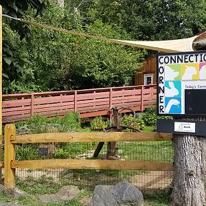 Elmwood Park - Connection Corner