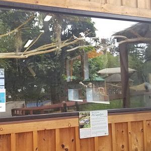 Elmwood Park - Alligator front window