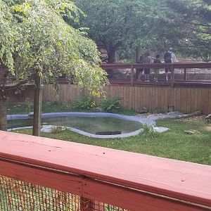 Elmwood Park - Nene yard