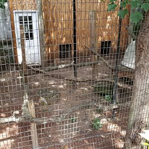 Elmwood Park - Bobcat