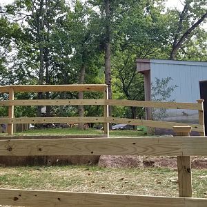 Elmwood Park - Capybara yard under construction