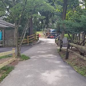 Elmwood Park - Cut through path in front of bison