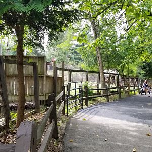Elmwood Park - Path to the right of bison