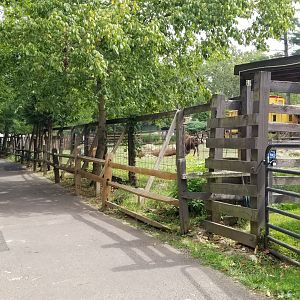 Elmwood Park - Path by bison yard