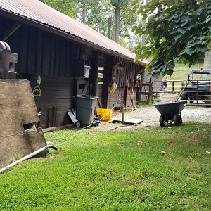 Elmwood Park - Behind bison barn