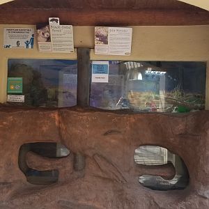 Elmwood Park - Gila monster, blackfooted ferret