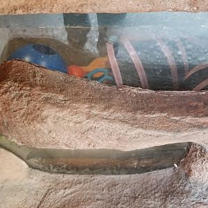 Elmwood Park - BFF, a little crowded