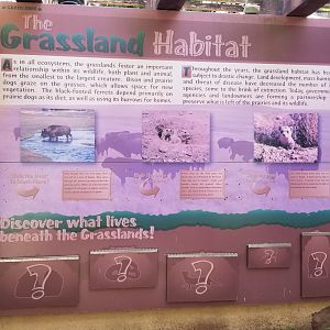 Elmwood Park - Grasslands signage, kids tunnel