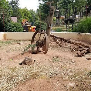 Elmwood Park - Blacktailed prairie dog exhibit from behind