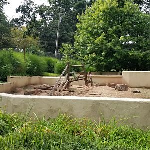 Elmwood Park - Blacktailed prairie dog