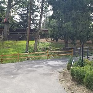 Elmwood Park - Secondary elk exhibit