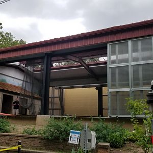 Elmwood Park - Future sloth exhibit