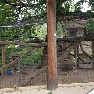 Elmwood Park - Ambassador porcupines