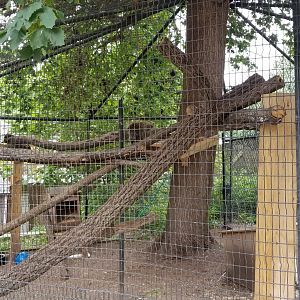 Elmwood Park - Ambassador porcupines