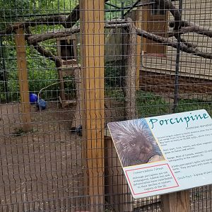 Elmwood Park - Ambassador porcupines