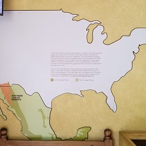 Elmwood Park - Trail of the Jaguar, Northern Jaguar signage