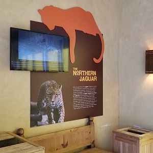 Elmwood Park - Trail of the Jaguar, Northern Jaguar signage