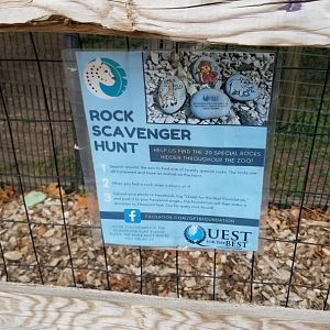 Elmwood Park - Rock Scavenger Hunt