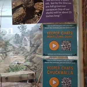 Elmwood Park - Trail of the Jaguar, desert tortoise signage