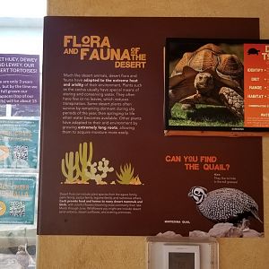 Elmwood Park - Trail of the Jaguar, birds and herps signage