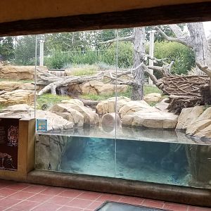 Elmwood Park - Trail of the Jaguar, Jaguar exhibit