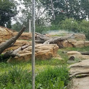 Elmwood Park - Trail of the Jaguar, Jaguar exhibit