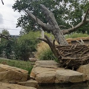 Elmwood Park - Trail of the Jaguar, Jaguar exhibit