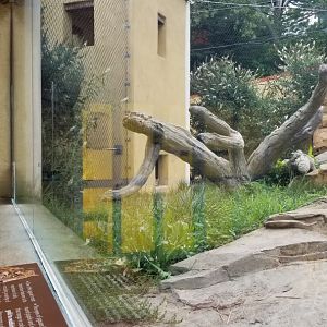 Elmwood Park - Trail of the Jaguar, Jaguar exhibit