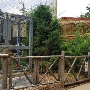 Elmwood Park - Trail of the Jaguar, back of ocelot exhibit