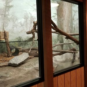 Elmwood Park - Red-tailed boa exhibit (empty)