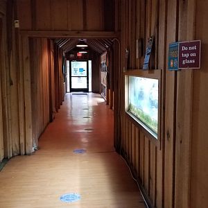 Elmwood Park - Hallway