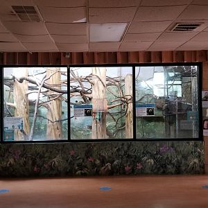 Elmwood Park - Saki, iguana indoor area