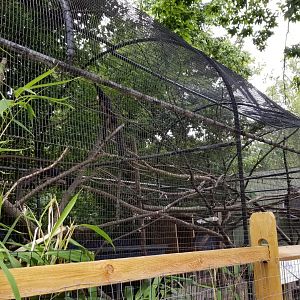 Elmwood Park - Saki, mara, iguana outdoor area