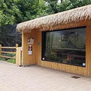 Elmwood Park - Saki/mara on left, red panda indoors on right