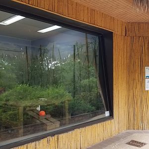 Elmwood Park - Red panda