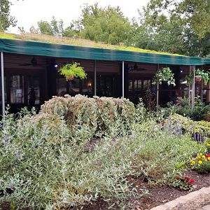 Elmwood Park - Event building gardens